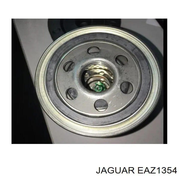 Filtro de aceite Jaguar EAZ1354 precio, desde 10,16 EUR