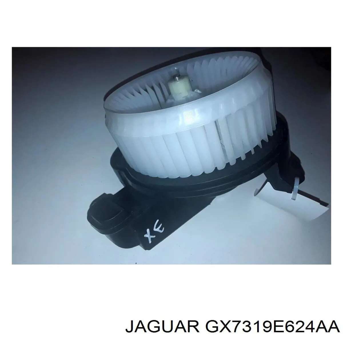  Jaguar GX7319E624AA precio, desde 77,14 EUR