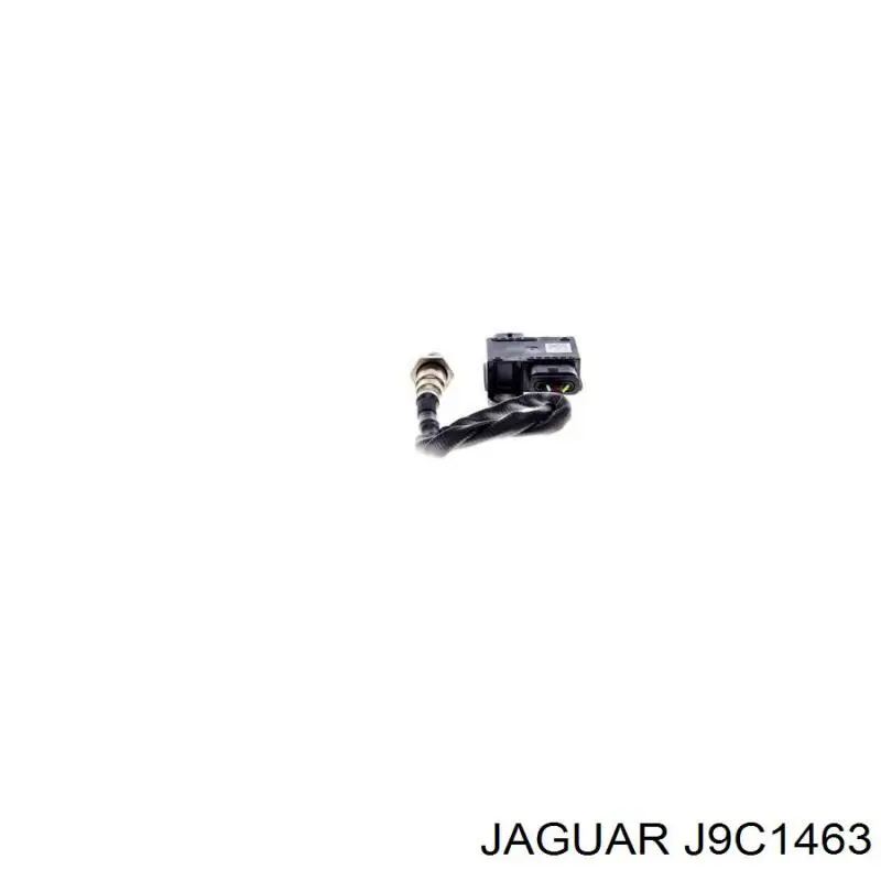 T2H50986 Jaguar