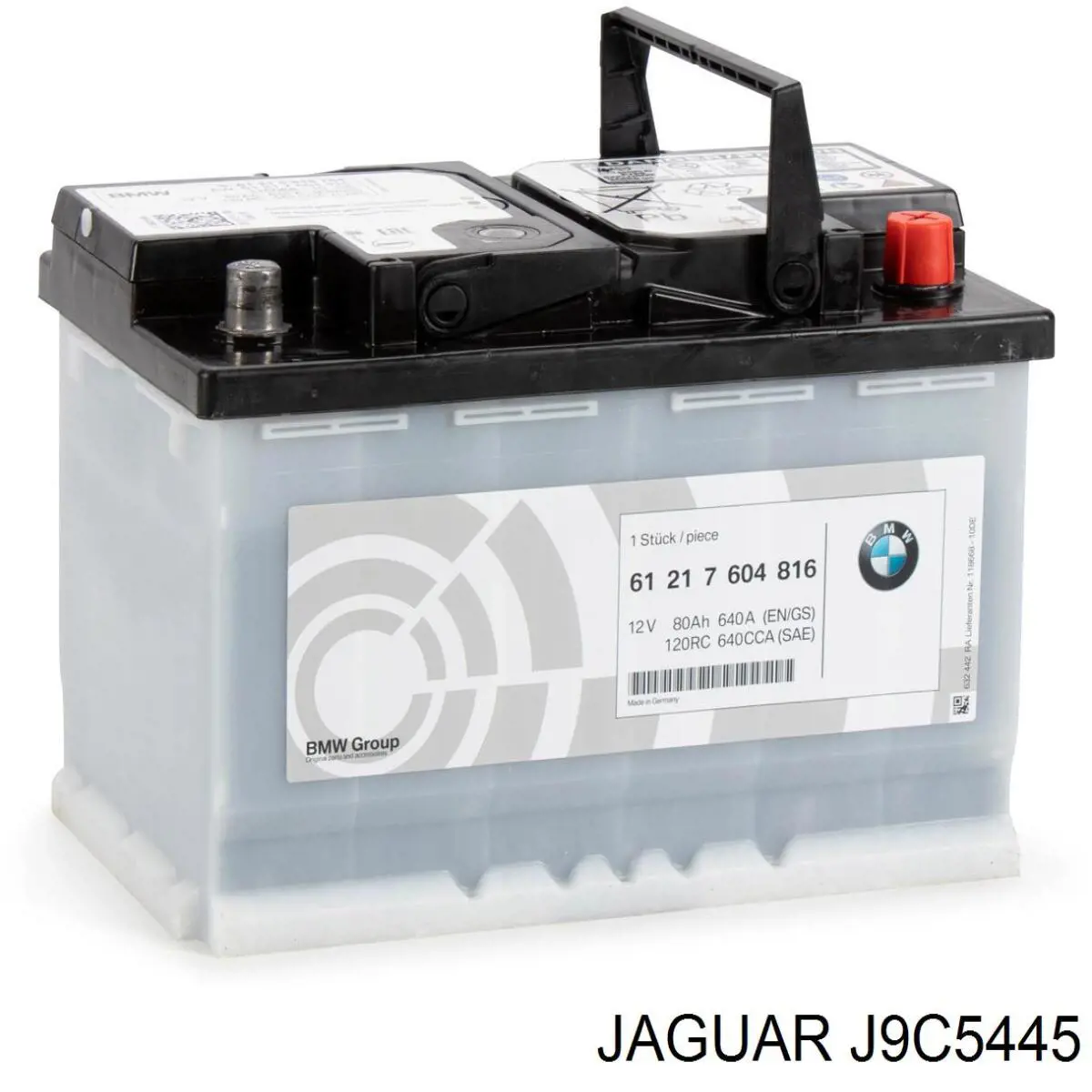 J9C5445 Jaguar