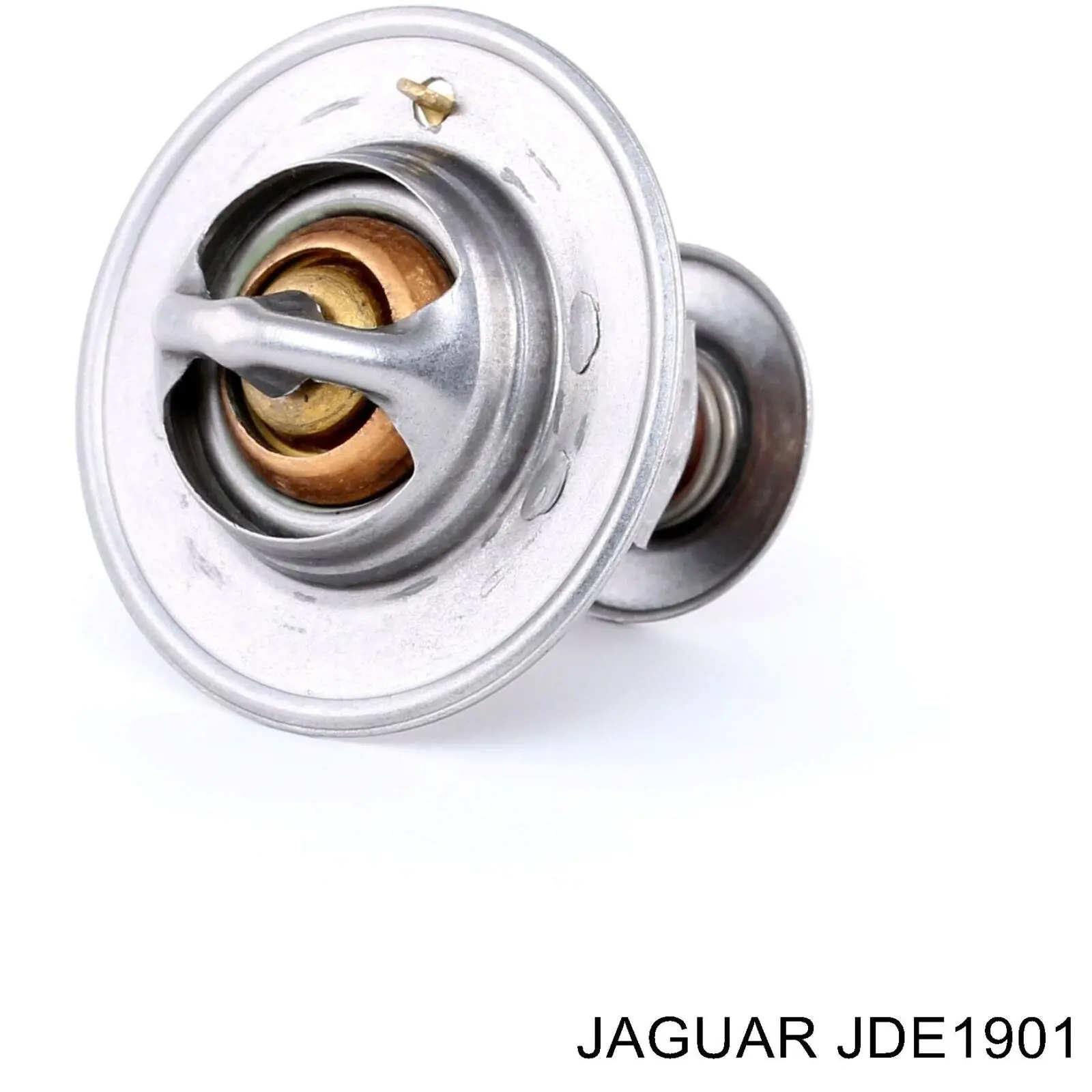 JDE1901 Jaguar termostato