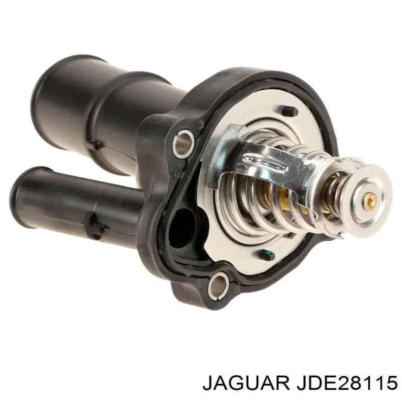 JDE28115 Jaguar