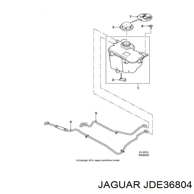 JDE36804 Jaguar