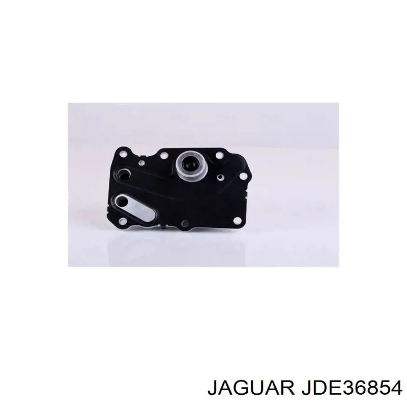 JDE36854 Jaguar