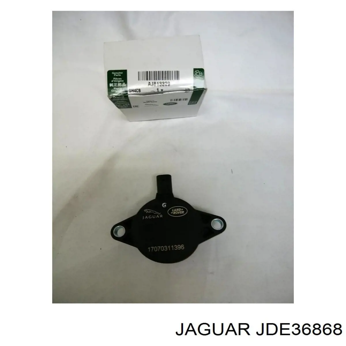 JDE36868 Jaguar