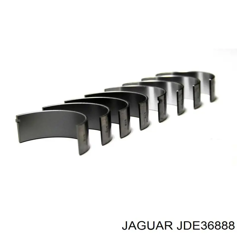 JDE40045 Jaguar