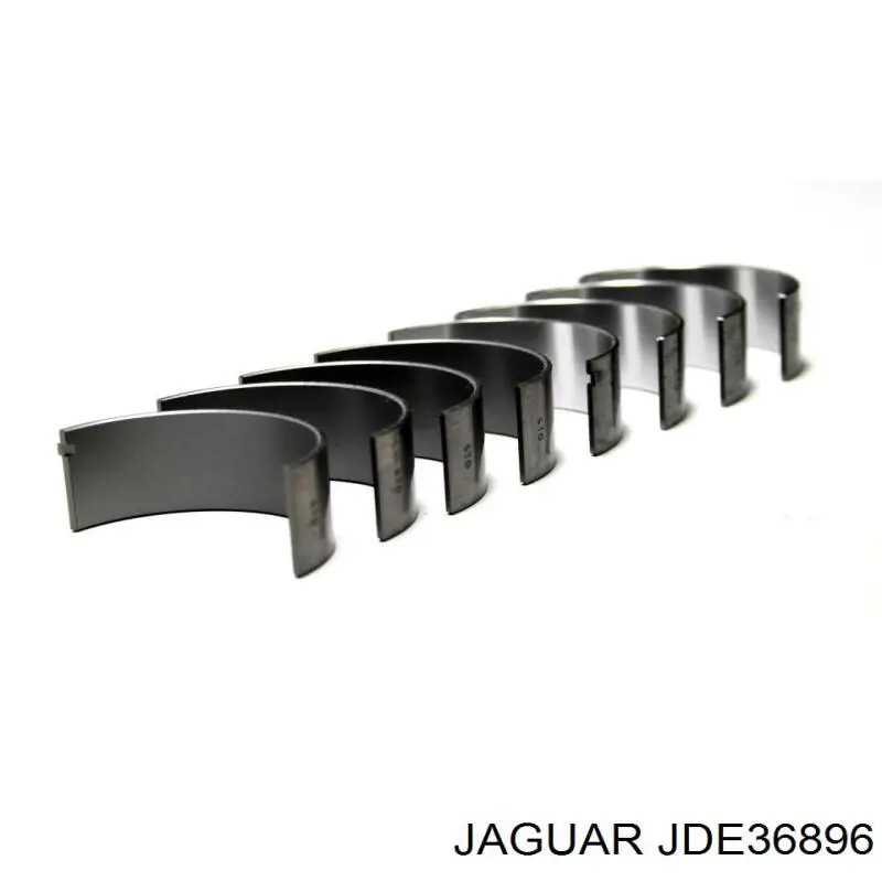 JDE40050 Jaguar