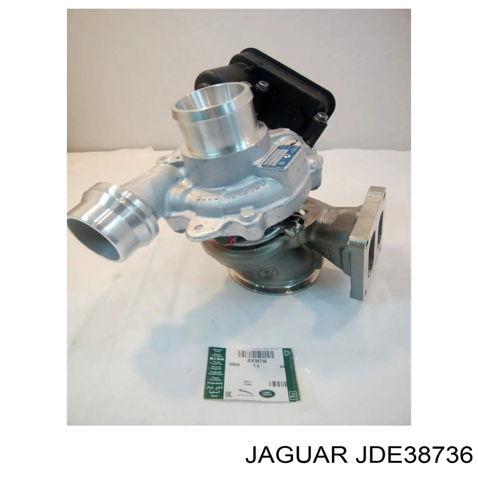 JDE38736 Jaguar