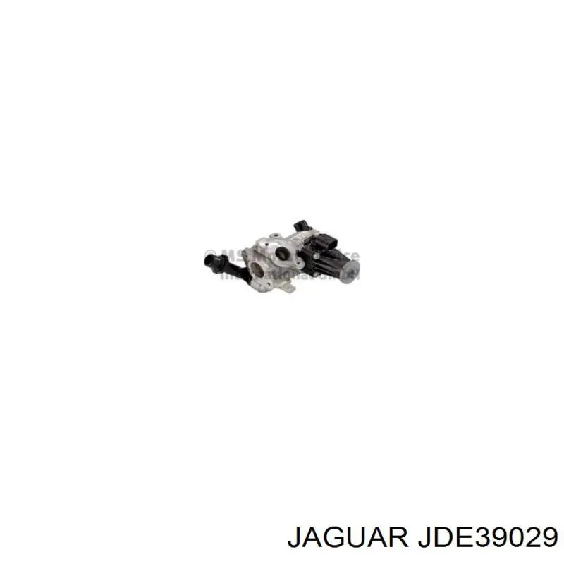 JDE39029 Jaguar