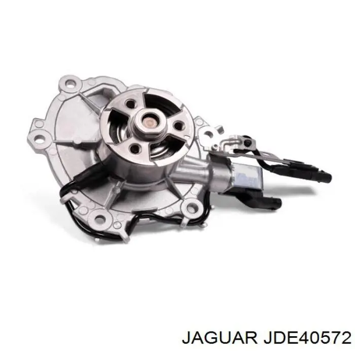 Comprar L247V Dolz Bomba de agua para motor
