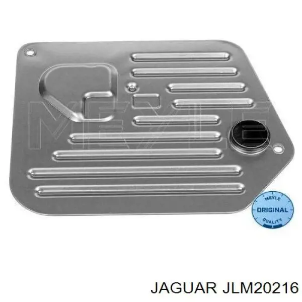 JLM20216 Jaguar