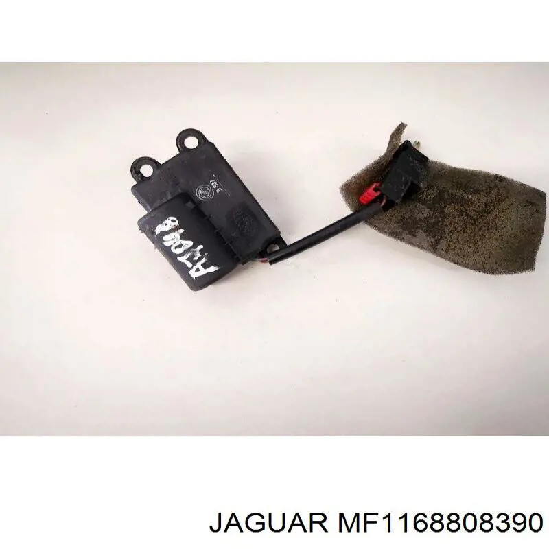 MF1168808390 Jaguar