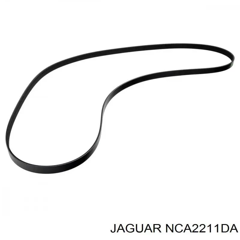 NCA2211DA Jaguar Correa poly v