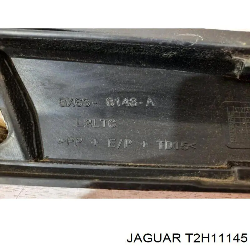 T2H11145 Jaguar