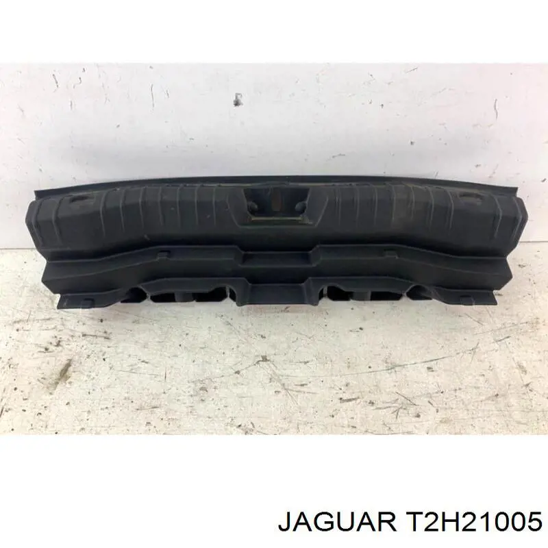 T2H6619 Jaguar