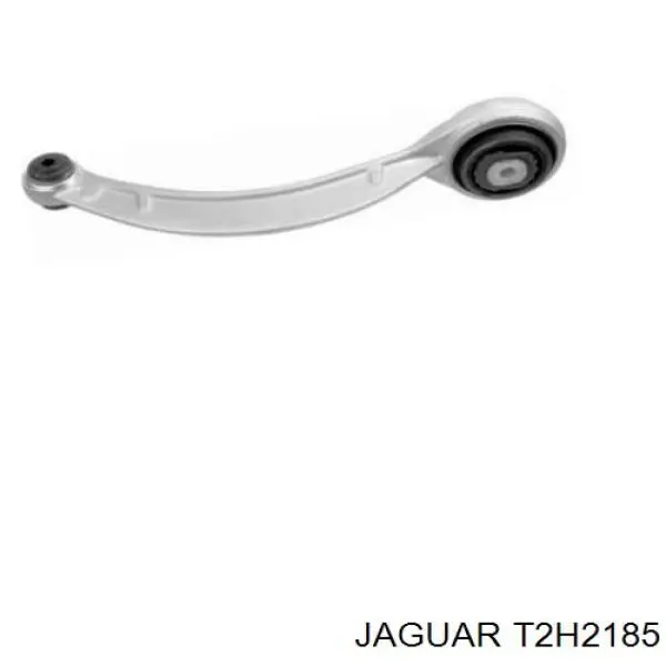 T2H16771 Jaguar