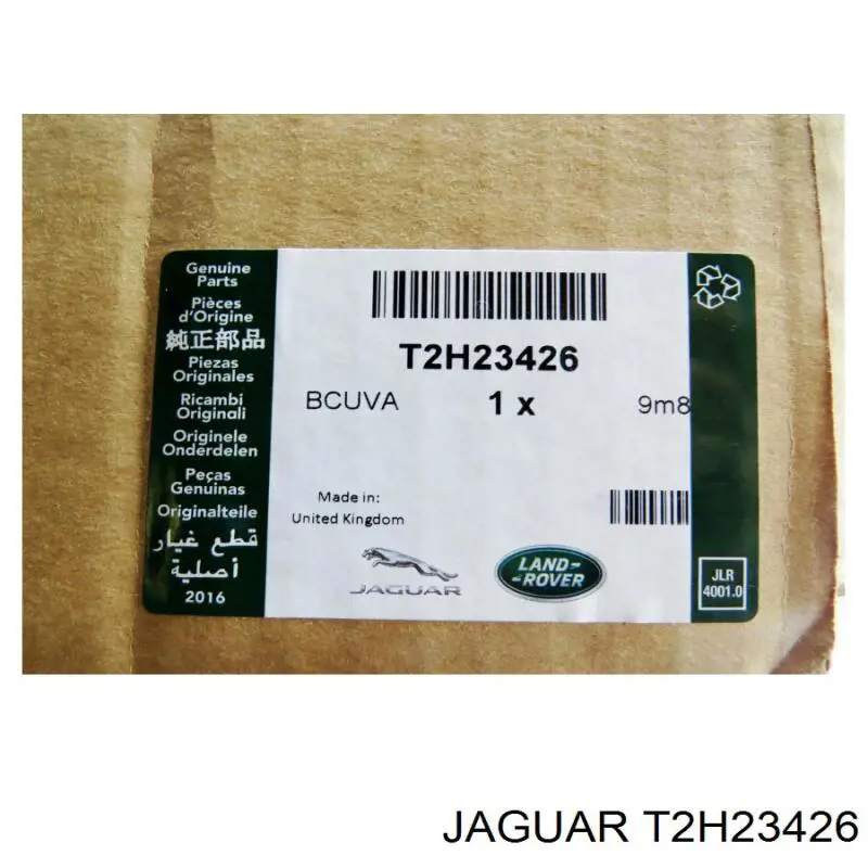 T2H23426 Jaguar