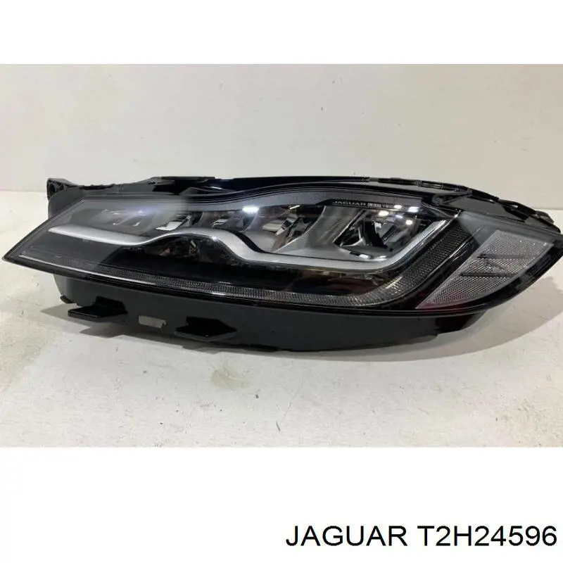 T2H24596 Jaguar