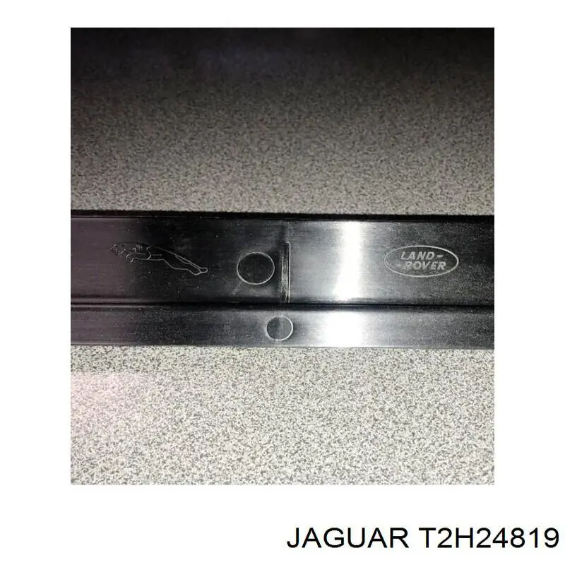 T2H24819 Jaguar