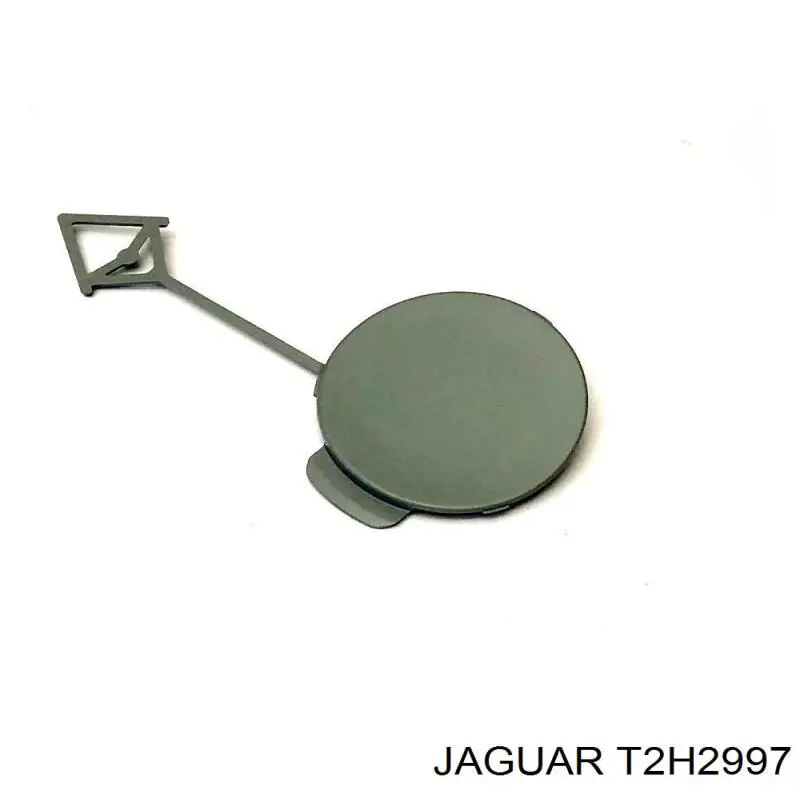 T2H2997 Jaguar