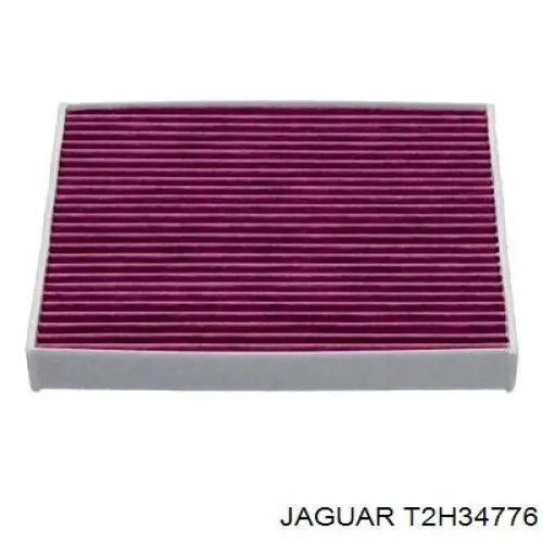 T2H34776 Jaguar Filtro antipolen