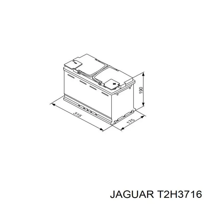 T2H3716 Jaguar
