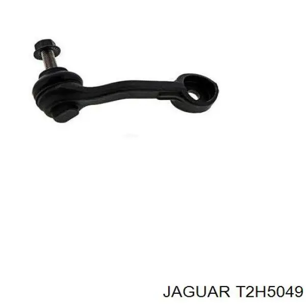 T2H5049 Jaguar