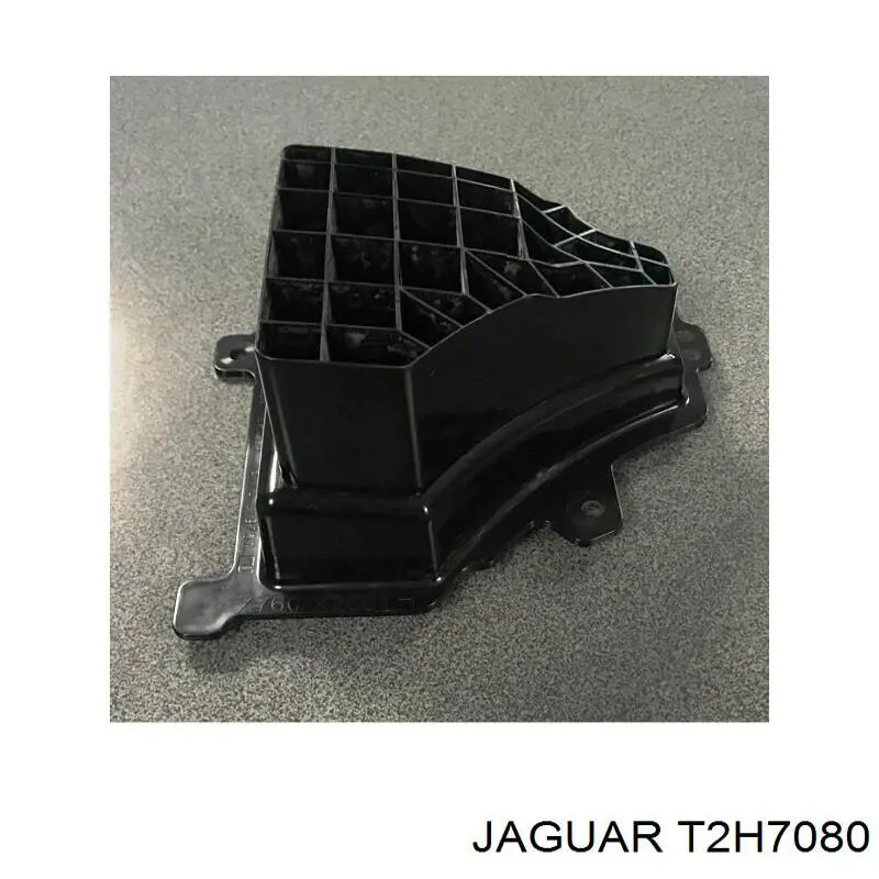 T4A16369 Jaguar