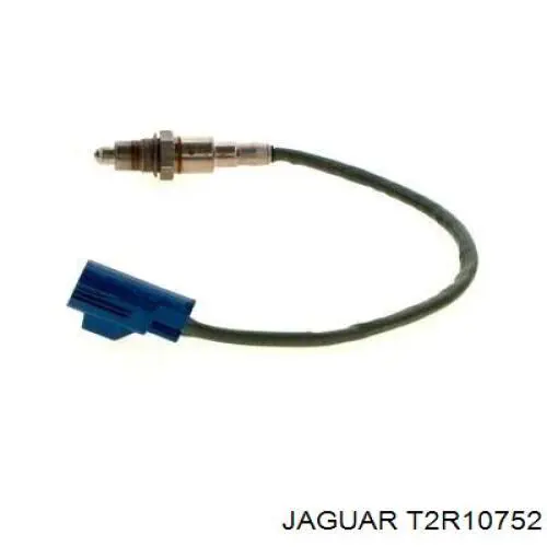 T2R10752 Jaguar