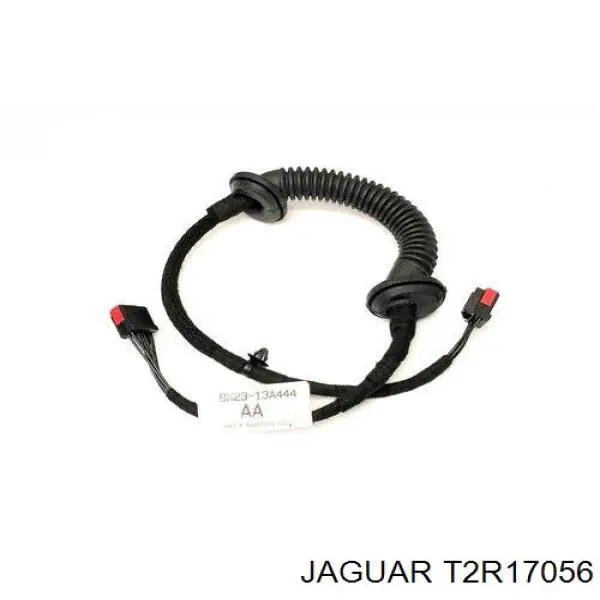 T2R17056 Jaguar