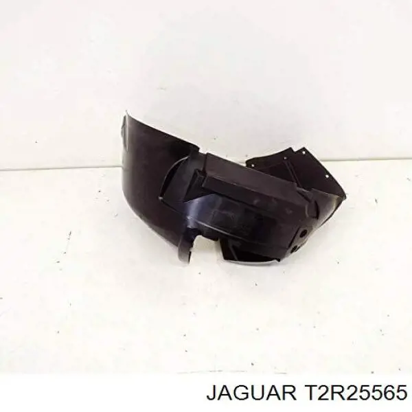 T2R2961 Jaguar