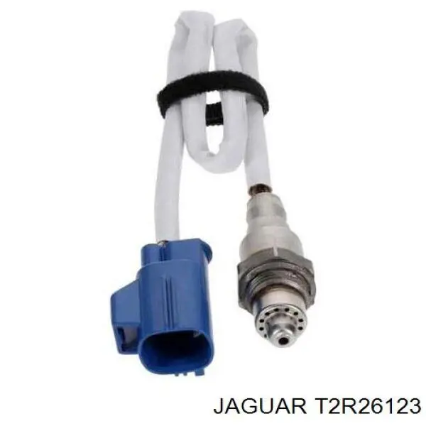 T2R7732 Jaguar