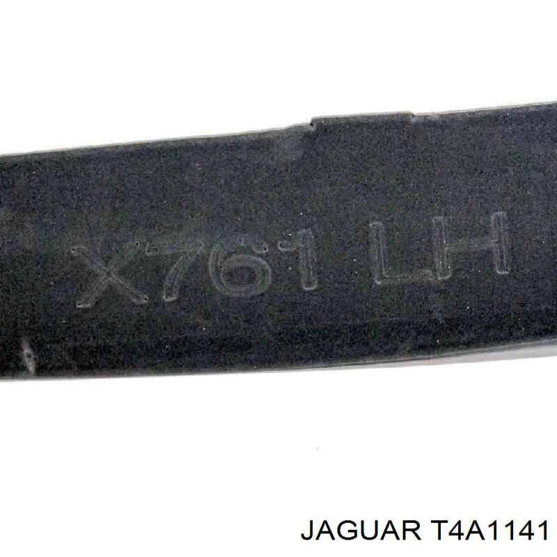 T4A1141 Jaguar