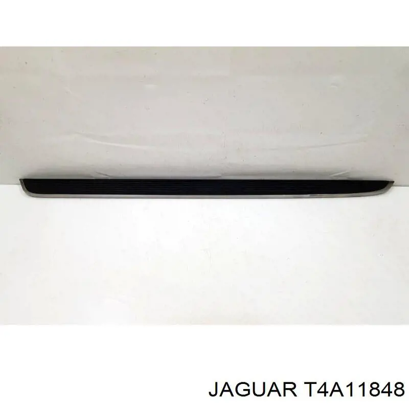 T4A11848 Jaguar