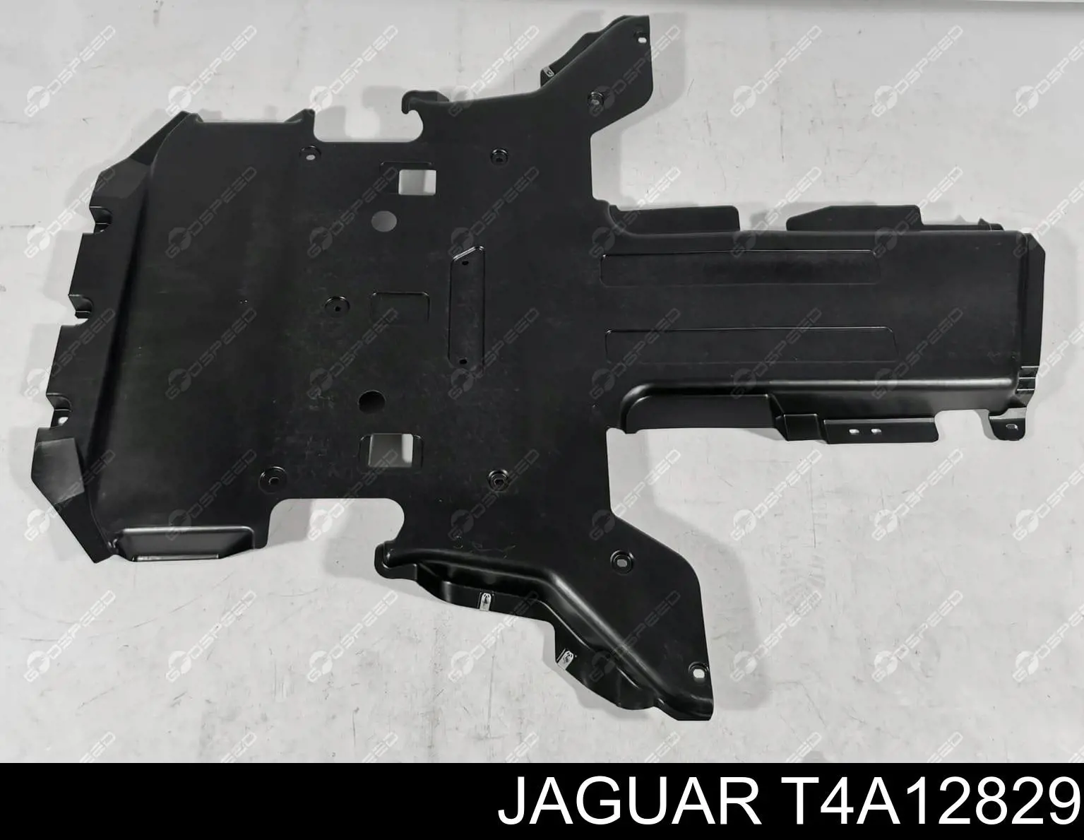 T4A6092 Jaguar