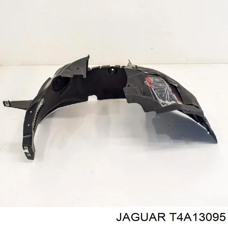 T4A1134 Jaguar