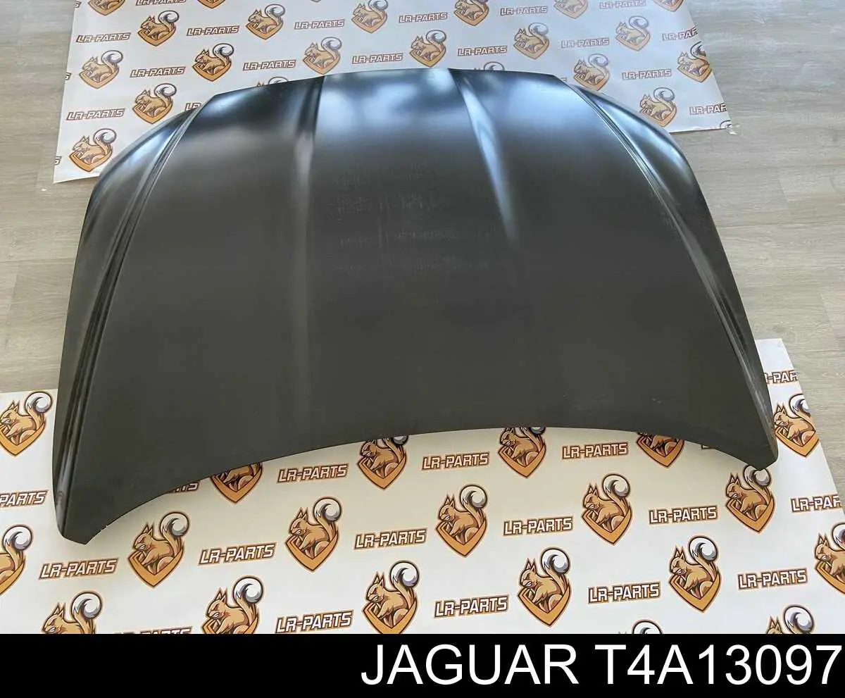 T4A13097 Jaguar