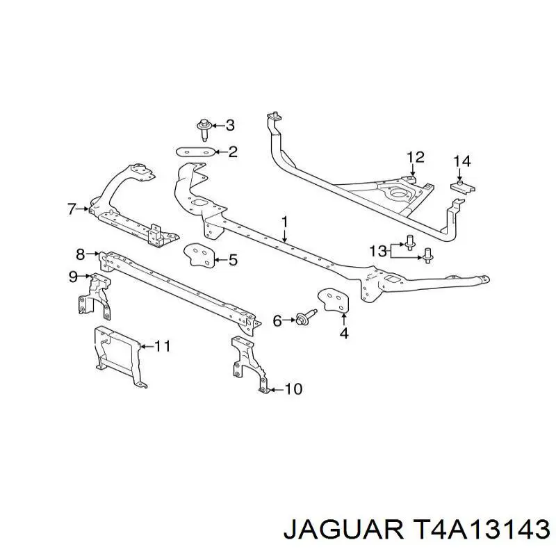 T4A13143 Jaguar