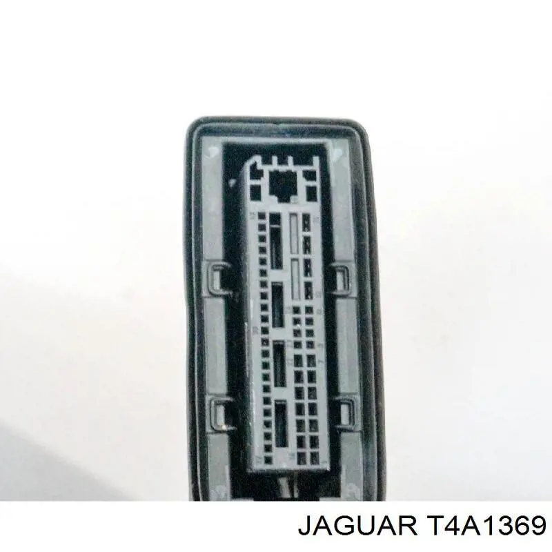 T4A1369 Jaguar Puerta delantera