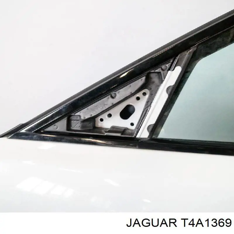 T4A1369 Jaguar