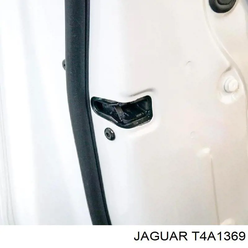Puerta delantera izquierda T4A1369 Jaguar