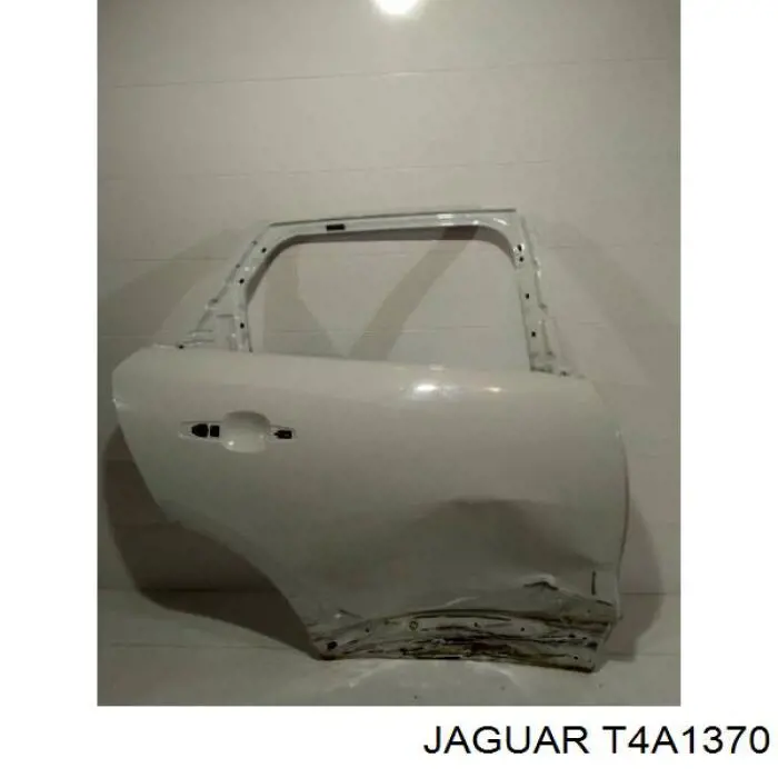 T4A1370 Jaguar