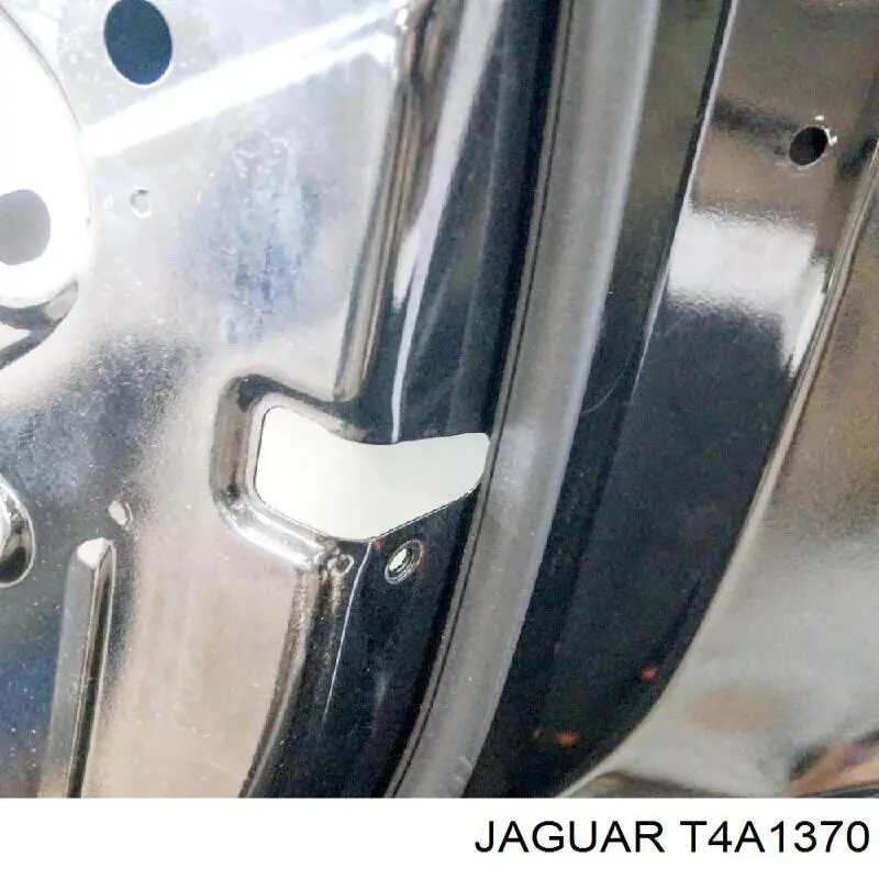 T4A1370 Jaguar Puerta trasera derecha