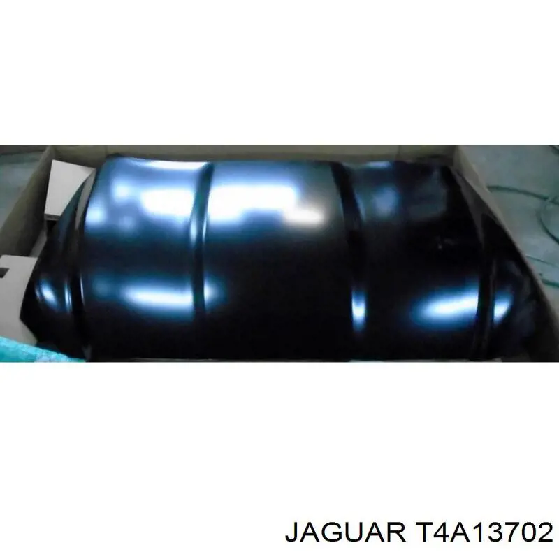 T4A13702 Jaguar Capó delantero