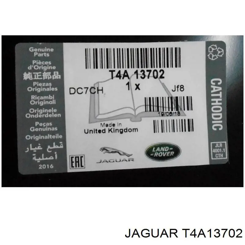 T4A1367 Jaguar