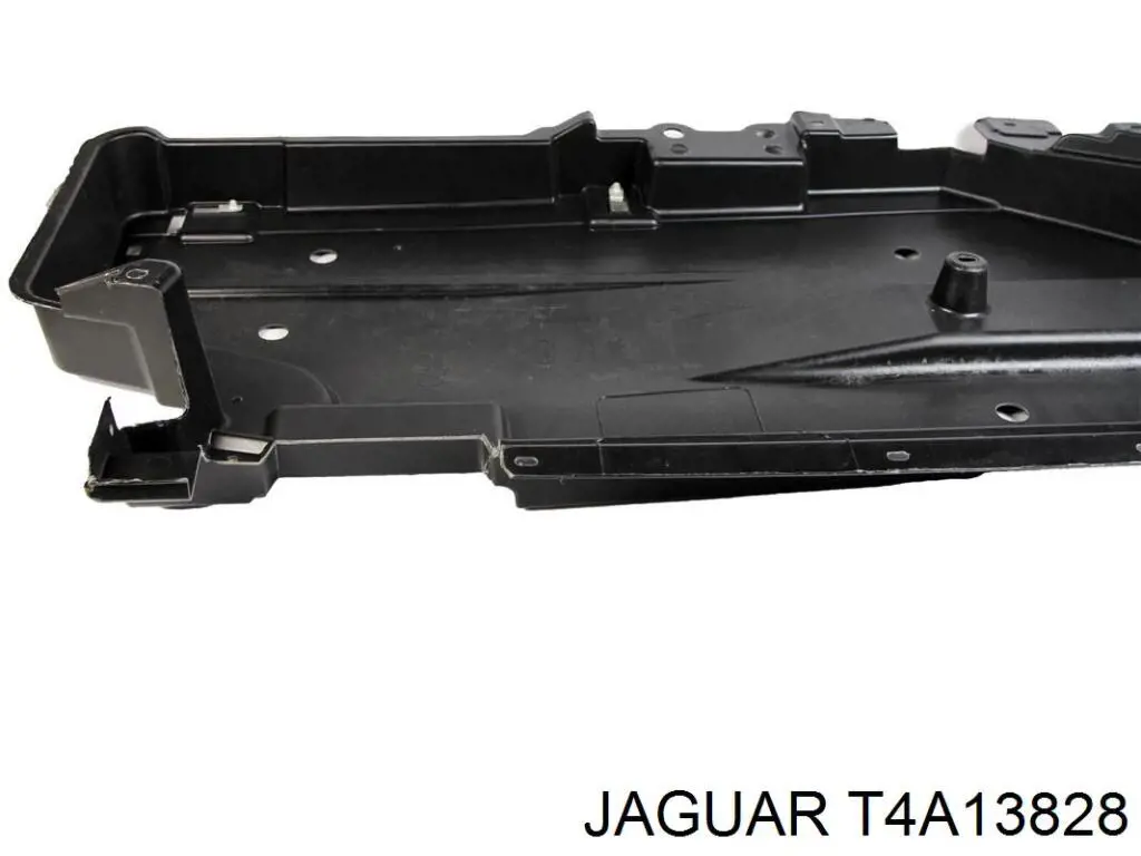 T4A13828 Jaguar