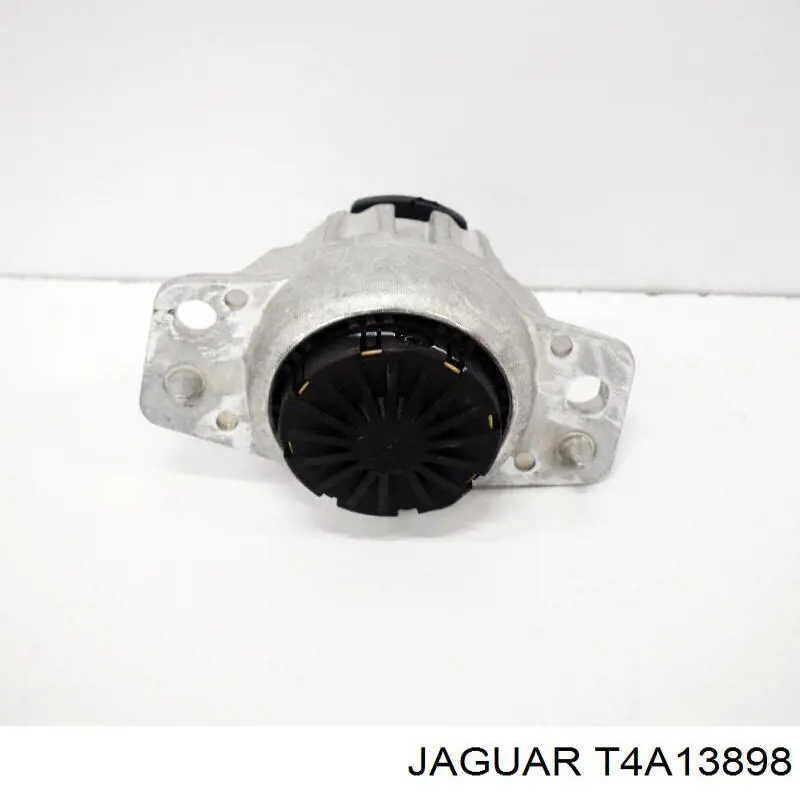 T4A31806 Jaguar