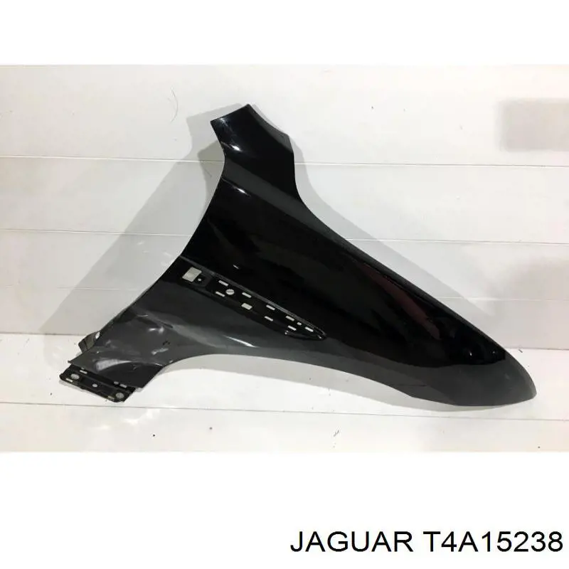 T4A15238 Jaguar