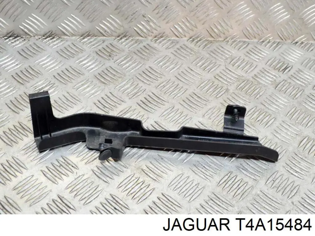 T4A10775 Jaguar