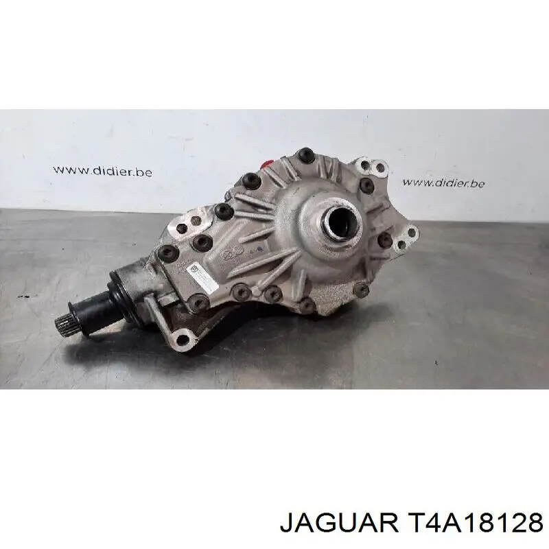 T4A18128 Jaguar